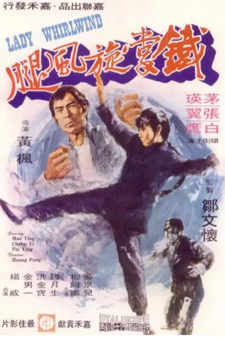 《铁掌旋风腿》封面