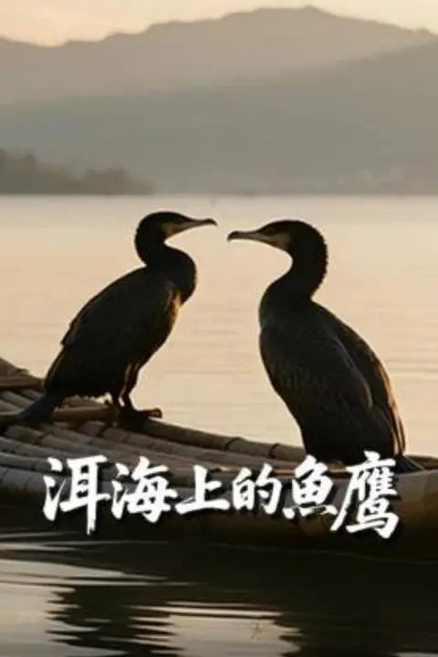 《洱海上的鱼鹰》封面