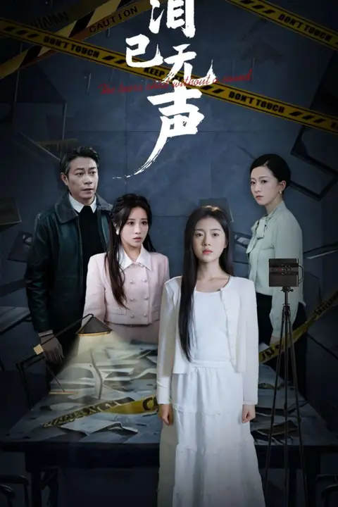 《泪已无声》封面