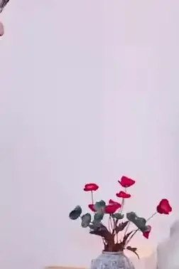 《范总,天上掉老婆了》封面