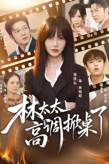 《林太太高调掀桌了》封面