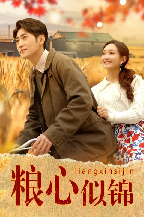 《粮心似锦》封面