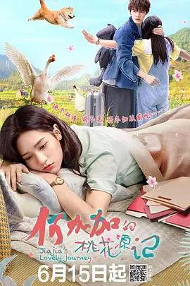 《何加加的桃花源记》封面