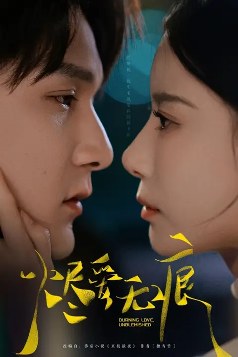 《烬爱无痕》封面