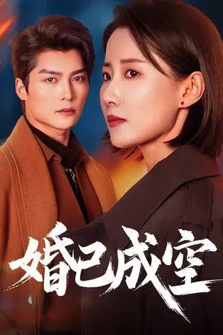 《婚已成空》封面