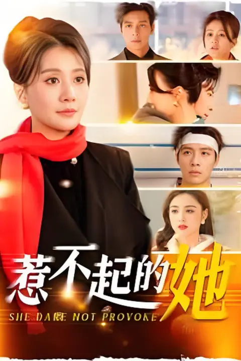 《惹不起的她2025》封面