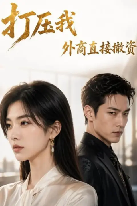 《打压我,外商直接撤资》封面