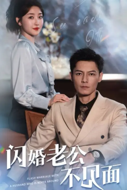 《闪婚老公不见面》封面