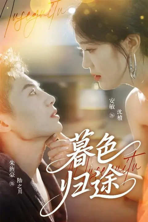 《暮色归途》封面