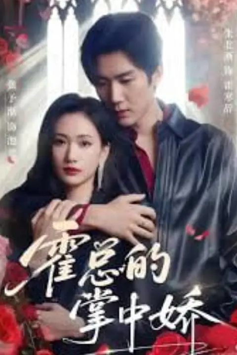《陆总的掌心娇宠》封面