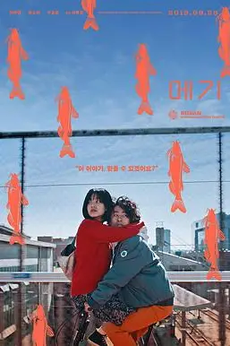 《鲶鱼美琪》封面
