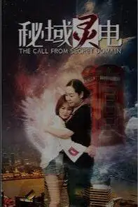 《秘域灵电》封面