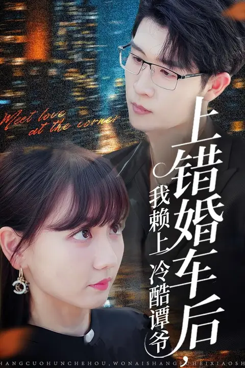 《上错婚车后我赖上冷酷谭爷》封面