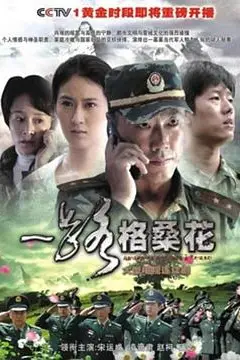 《一路格桑花》封面