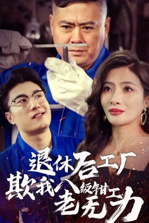 《退休后工厂欺我八级钳工老无力》封面