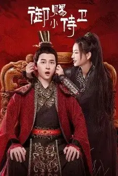 《御赐小侍卫》封面