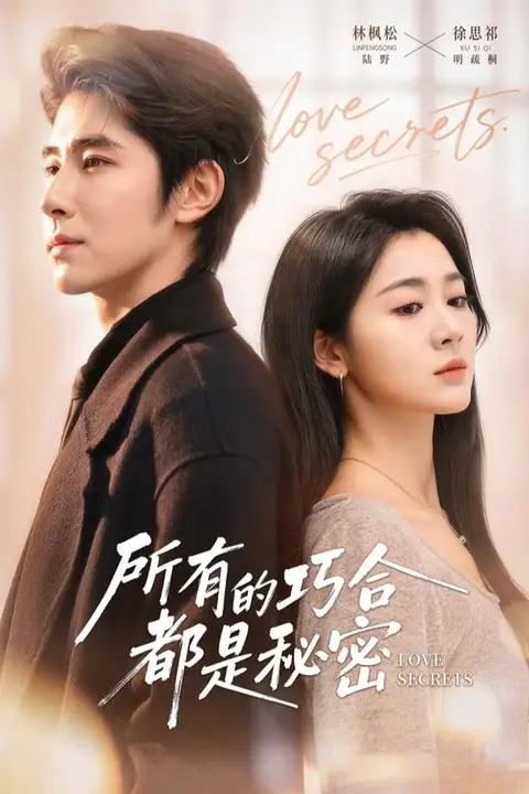《所有的巧合都是秘密(陆总夫人她只想离婚)》封面