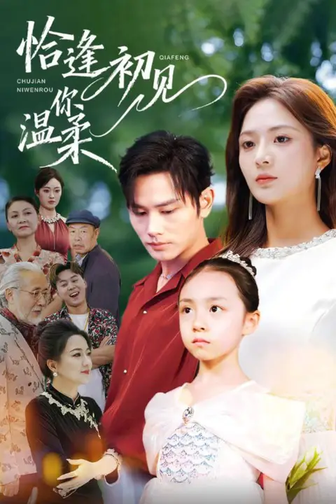 《恰逢初见你温柔》封面