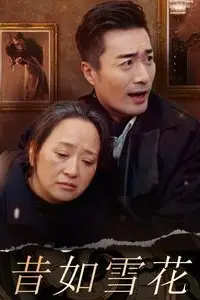 《昔如雪花》封面