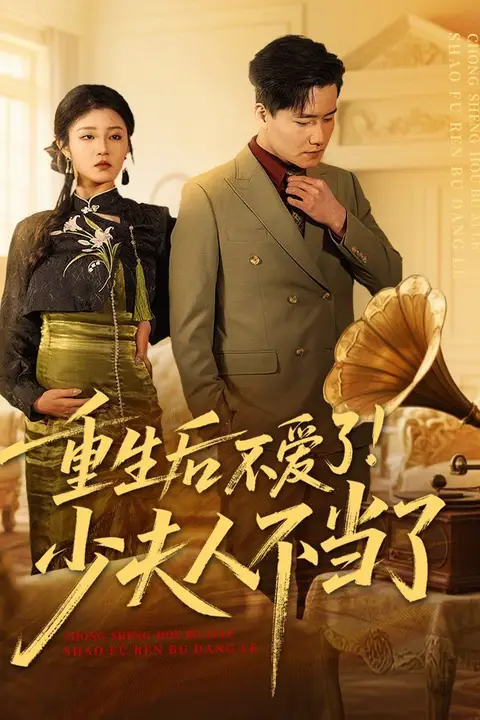 《重生后不爱了少夫人不当了》封面
