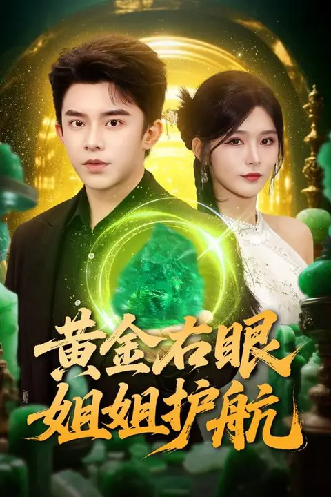 《黄金右眼,姐姐护航》封面