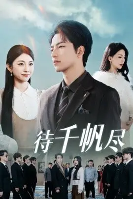 《新版:待千帆尽》封面