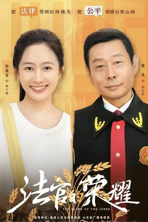 《法官的荣耀》封面