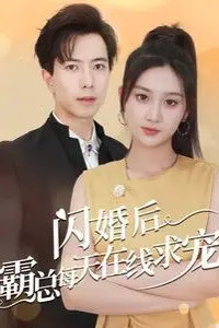 《闪婚后霸总每天在线求宠（痴傻老公是霸总）》封面