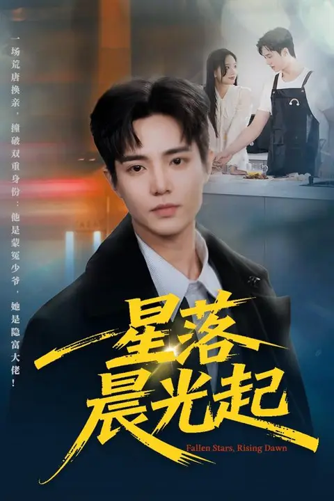 《星落晨光起》封面