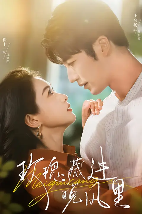 《玫瑰藏进晚风里》封面
