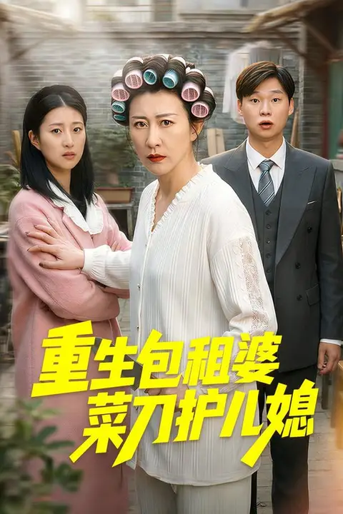 《重生包租婆菜刀护儿媳》封面