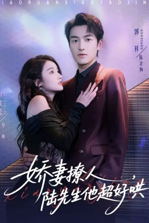 《娇妻撩人，陆先生他超好哄》封面