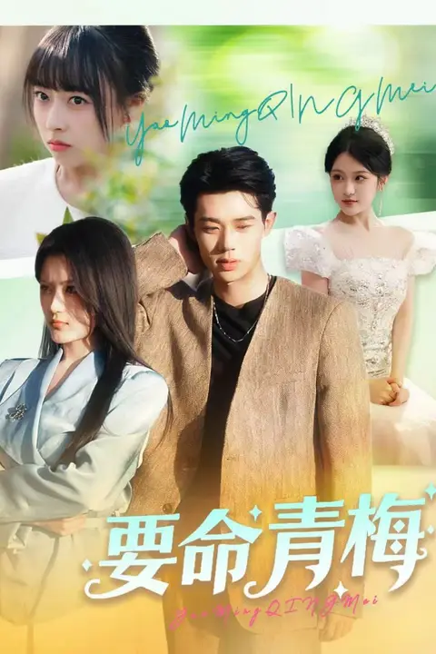 《要命青梅》封面