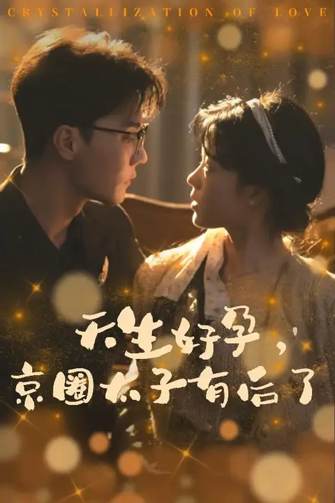 《天生好孕京圈太子有后了（你与光共落人间）》封面