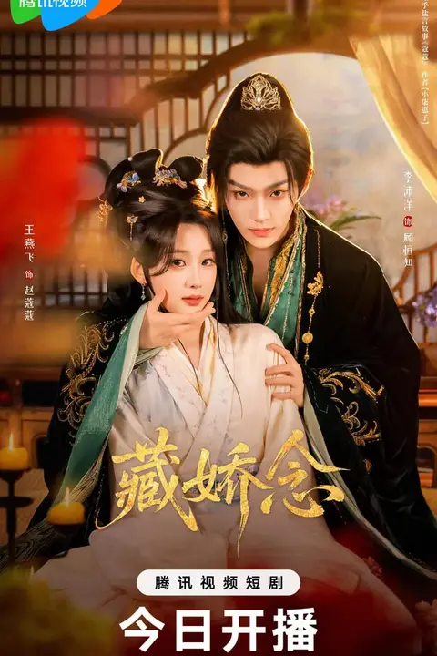 《藏娇念》封面