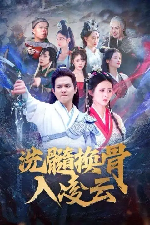 《洗髓换骨入凌云》封面
