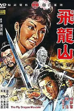 《飞龙山》封面
