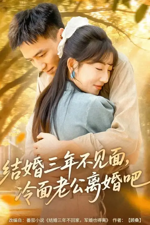 《结婚三年不见面,冷面老公离婚吧》封面