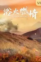 《浴火燃情》封面