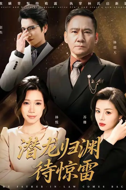 《潜龙归渊待惊雷》封面