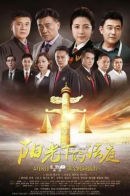 《阳光下的法庭》封面