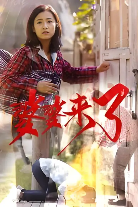 《婆婆来了》封面