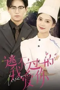 《逃不过的我爱你》封面