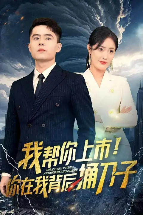 《我帮你上市！你在我背后捅刀子》封面