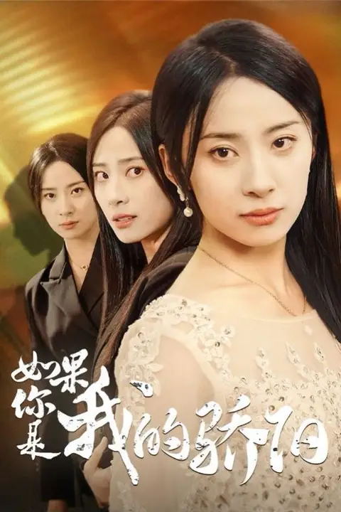 《如果你是我的骄阳》封面