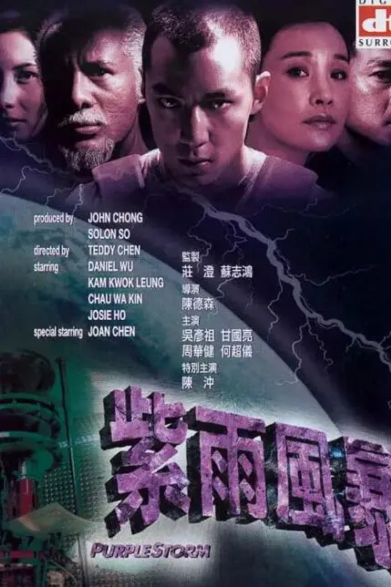 《紫雨风暴》封面