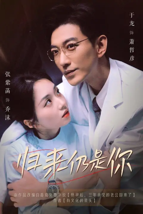 《归来仍是你》封面