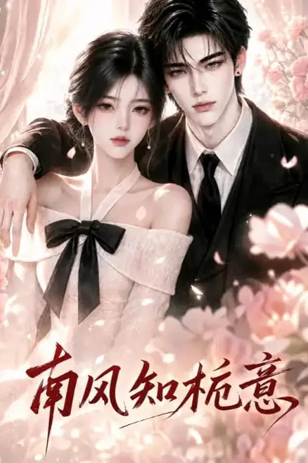 《南风知栀意》封面