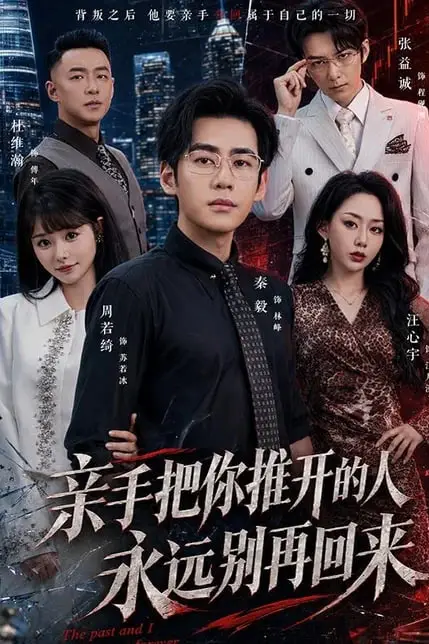 《亲手把你推开的人,永远别再回来》封面