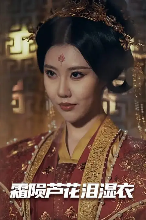 《母剑照霜白（霜陨芦花泪湿衣）》封面